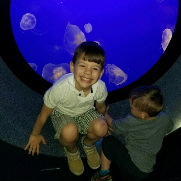 Meet your Posher, Jennifer - Picture 8 of 8